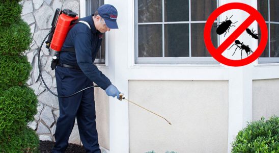 Eruh Bit İlaçlama böcek ilaçlama ve haşere kontrolü — ilaclama-tr.com